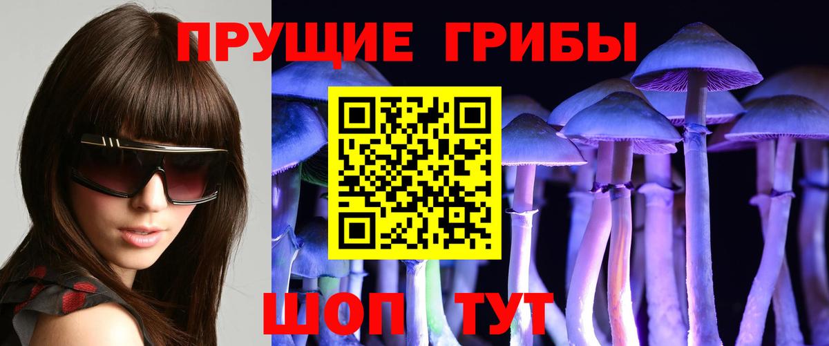 Орехово-Зуево  Галлюциногенные грибы ЛСД  Вход с VPN  Псилоцибиновые грибы мухоморы 