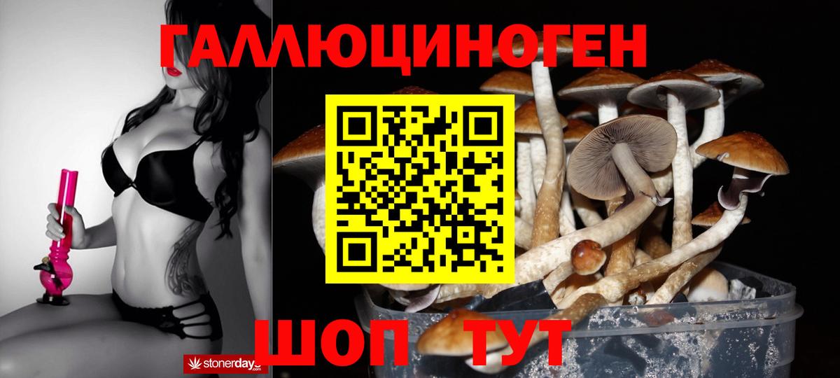 Псилоцибиновые грибы Psilocybine cubensis Орехово-Зуево